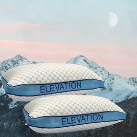 Elevation Latex Pillow