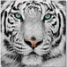 Wall Art Black & White Tiger