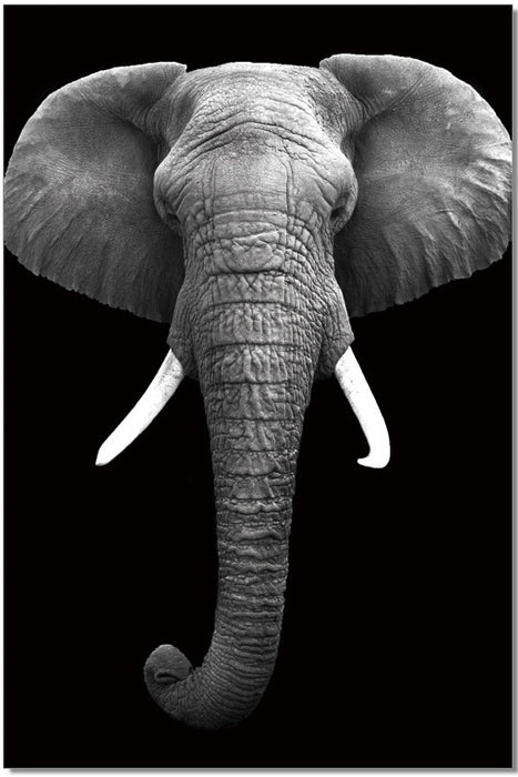 Wall Art Elephant